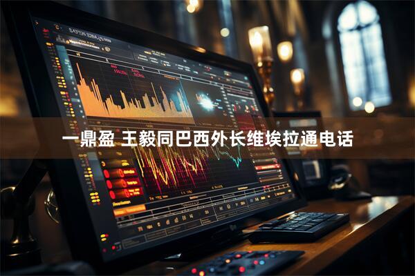 一鼎盈 王毅同巴西外长维埃拉通电话