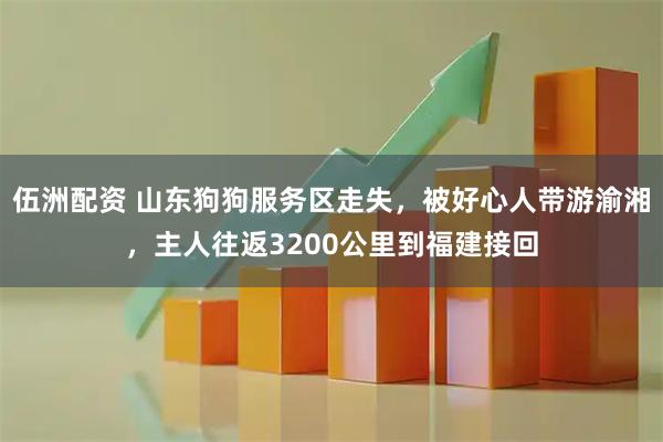 伍洲配资 山东狗狗服务区走失，被好心人带游渝湘，主人往返3200公里到福建接回