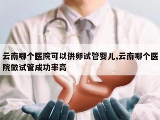 云南哪个医院可以供卵试管婴儿,云南哪个医院做试管成功率高